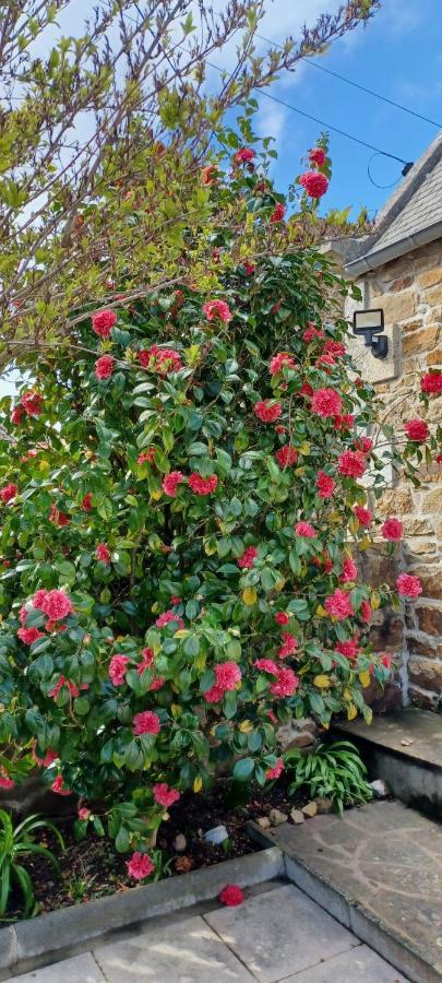Cote De Granit Rose Βίλα Pleumeur-Bodou Εξωτερικό φωτογραφία